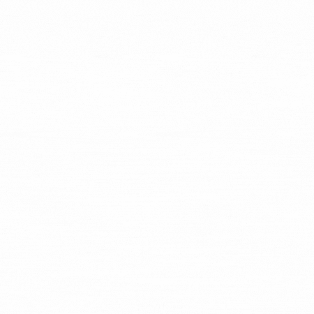 AIVS animation (600 x 600 px)