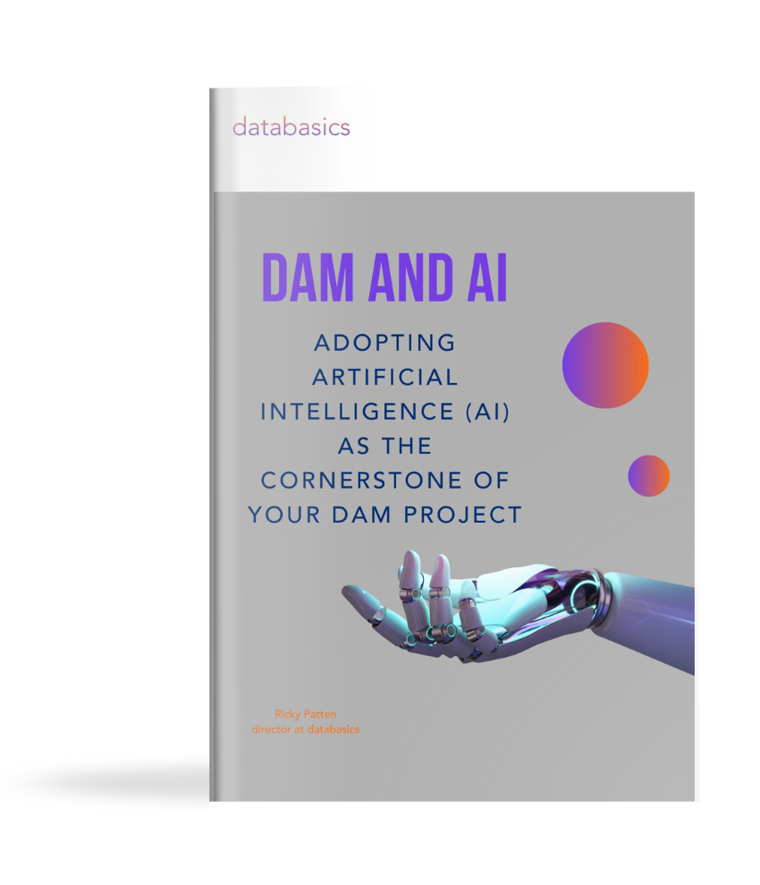 DAM and AI book cover