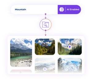 Databasics_AI Visual Search_Website Graphic_V2_01_04_2025-3