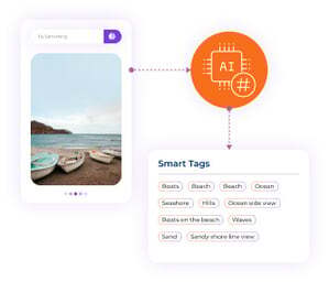 Databasics_Smart Tags_Website Graphic_V2_01_04_2025-3