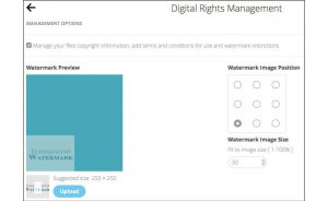 enhanced watermarking