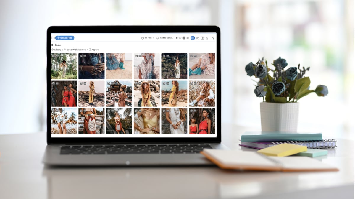 Canto PIM and Retail Canto PIM and Retail