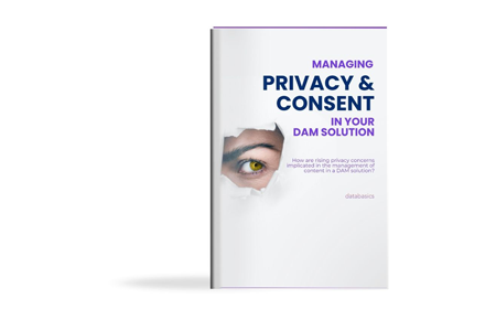 Privacy ebook cover 450x290