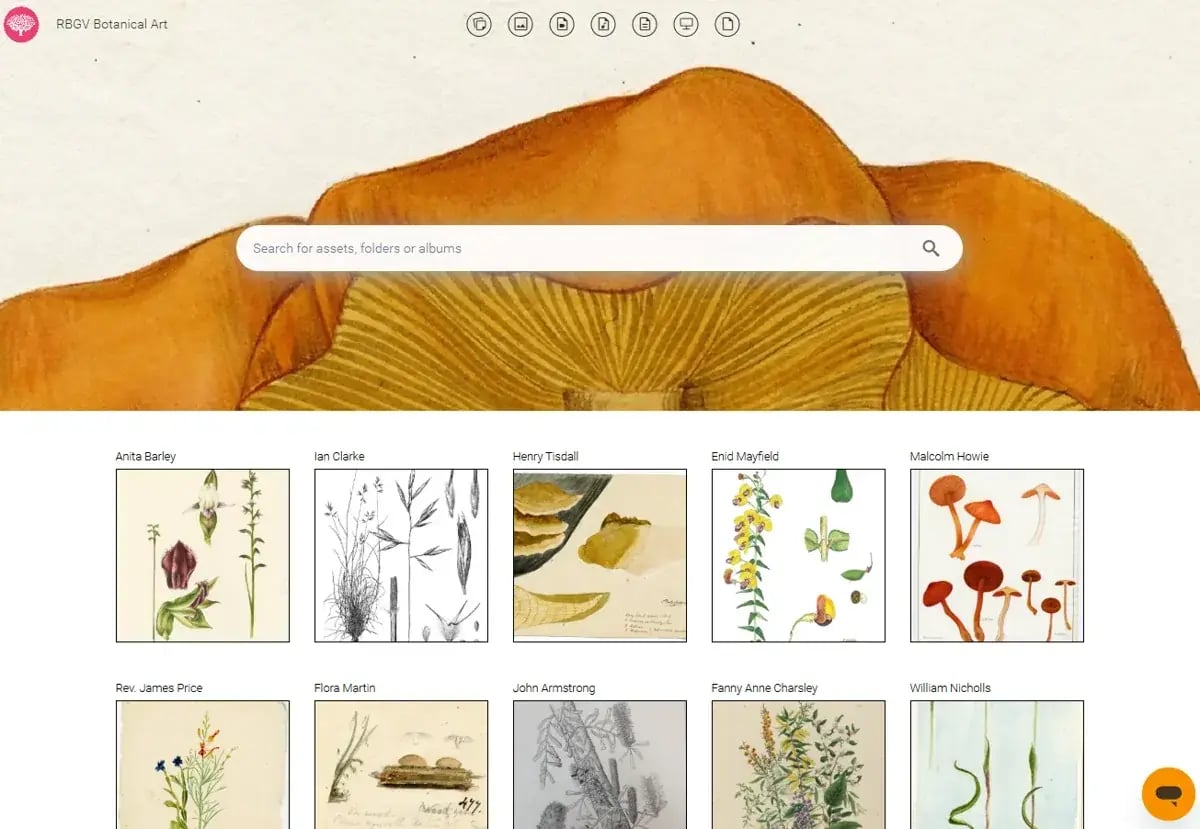 RBG_Screenshot 2025-06-04 163812 (1)