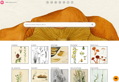 RBG_Screenshot smaller size