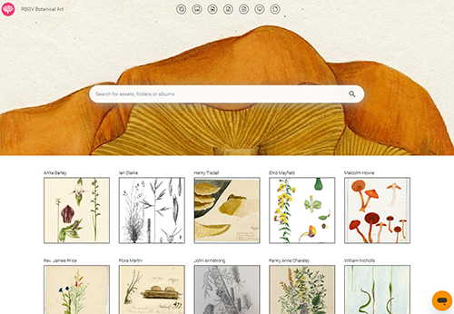 RBG_Screenshot smaller size