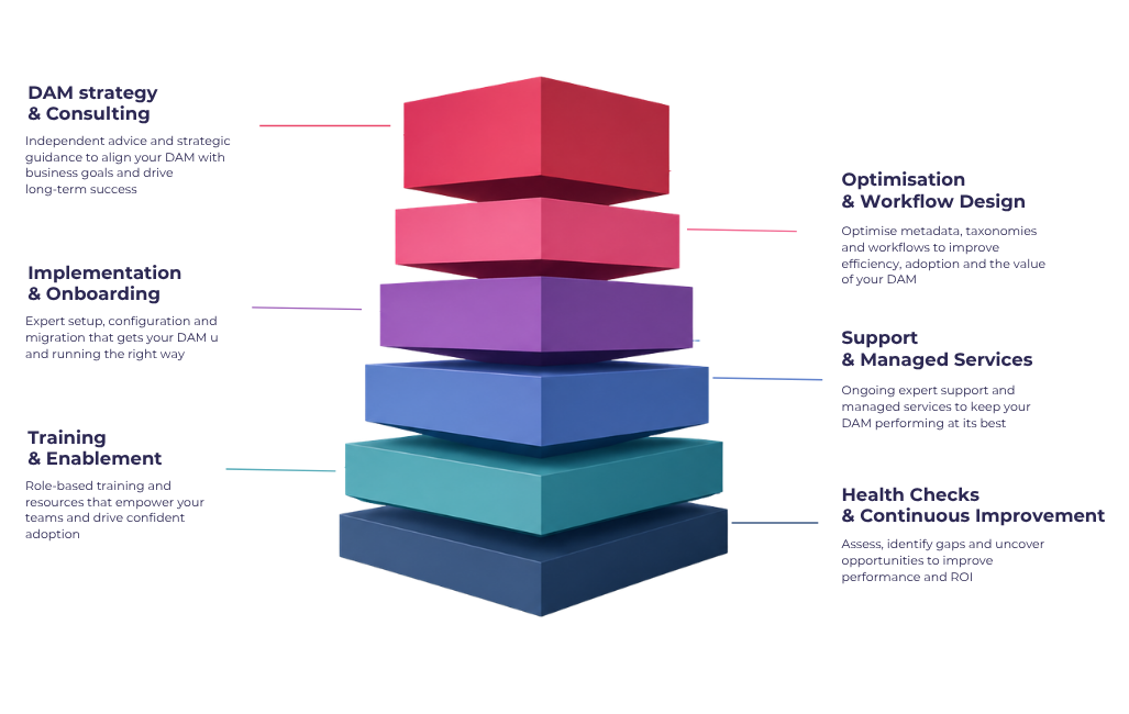 databasics services concept