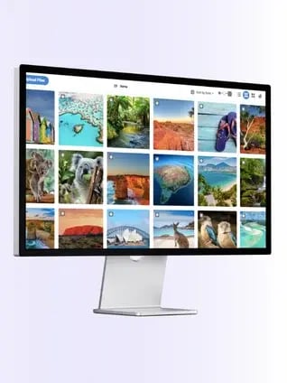 db home page statement