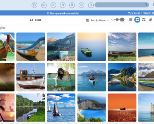 db_website_solutions_canto-1-1