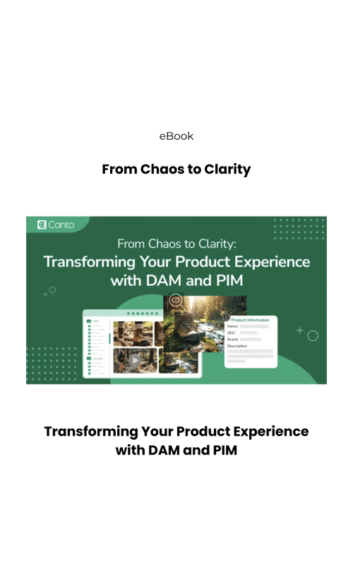 eBook cover DAM and PIM (600 x 1000 px) (1) (1)