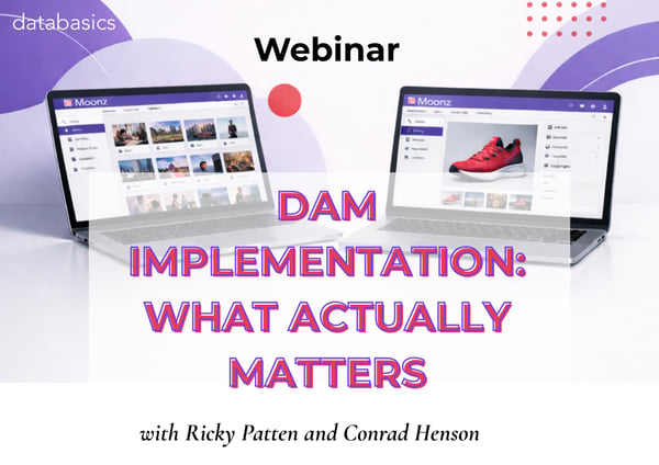 DAM Implementation