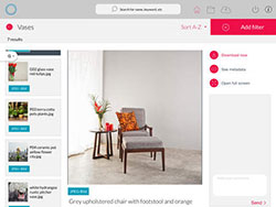 Cumulus IOS Mobile App Features for Asset Access