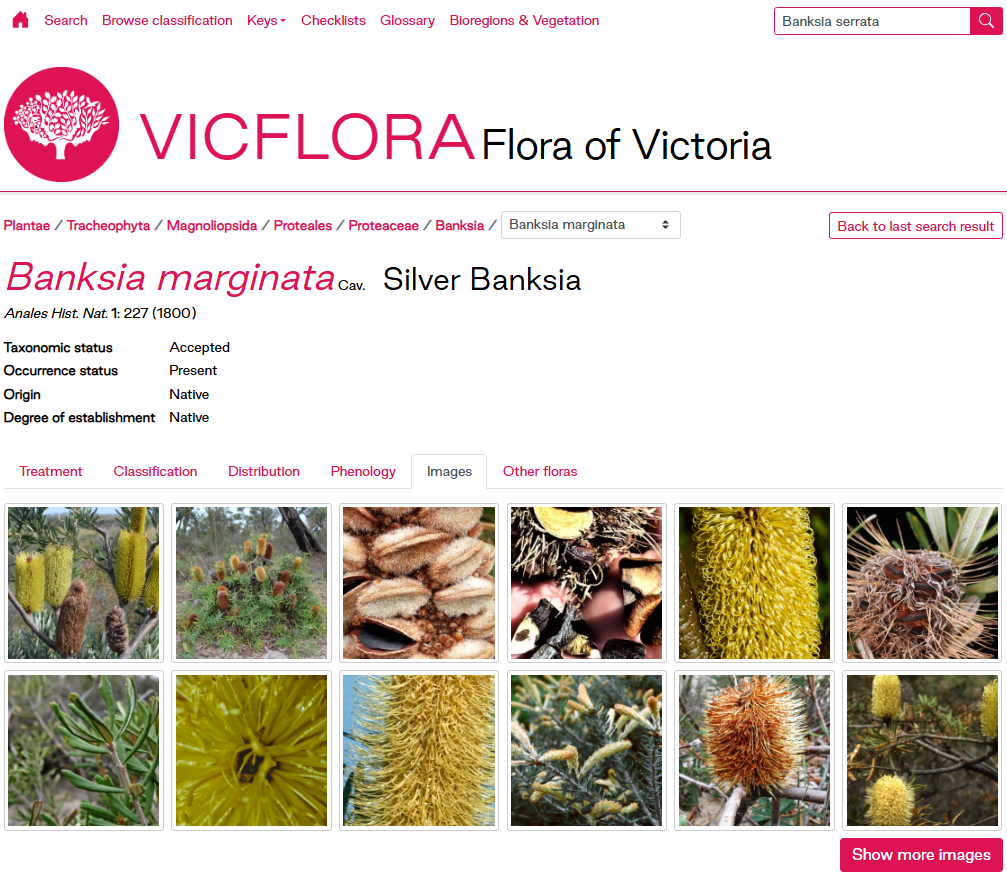 RBG_Screenshot 2025-06-04 163153