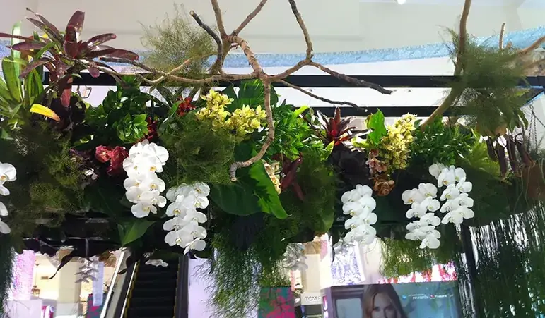 Integrating Cumulus DAM with CMS Platforms